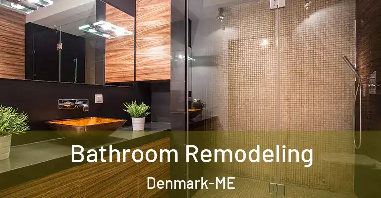 inner Bathroom imggen Bathroom Remodeling Denmark-ME
