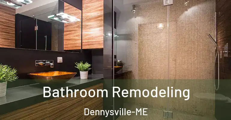 inner Bathroom imggen Bathroom Remodeling Dennysville-ME