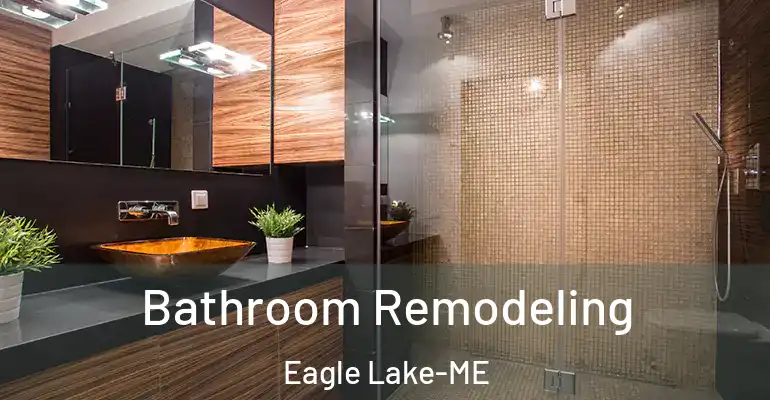 inner Bathroom imggen Bathroom Remodeling Eagle Lake-ME