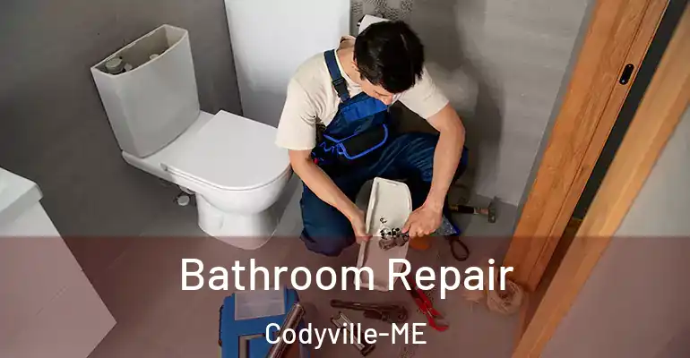 inner Bathroom imggen Bathroom Repair Codyville-ME