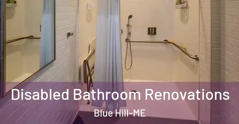 inner Bathroom imggen Disabled Bathroom Renovations Blue Hill-ME