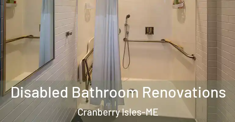 inner Bathroom imggen Disabled Bathroom Renovations Cranberry Isles-ME