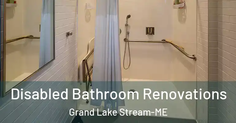 inner Bathroom imggen Disabled Bathroom Renovations Grand Lake Stream-ME