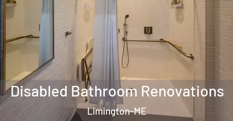 inner Bathroom imggen Disabled Bathroom Renovations Limington-ME