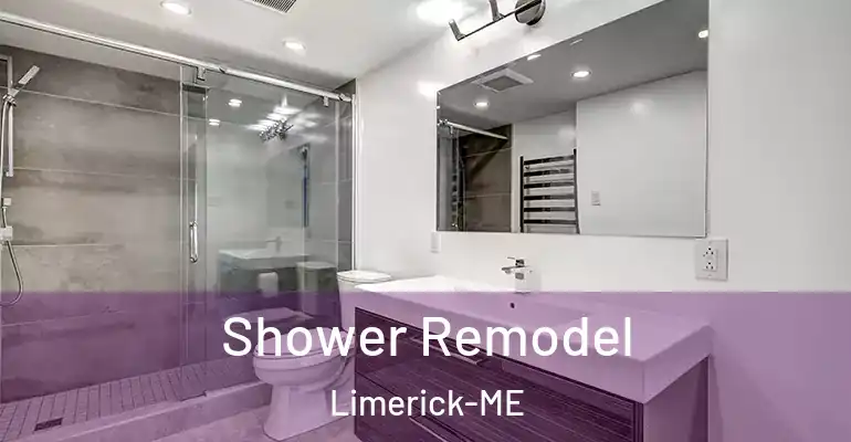 inner Bathroom imggen Shower Remodel Limerick-ME