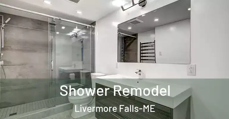 inner Bathroom imggen Shower Remodel Livermore Falls-ME