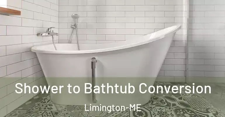 inner Bathroom imggen Shower to Bathtub Conversion Limington-ME