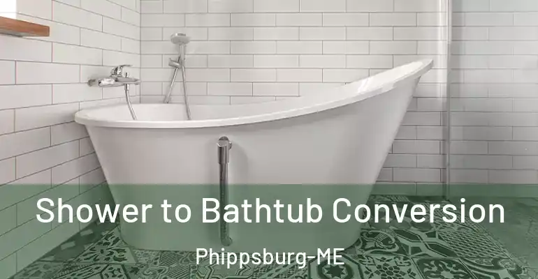 inner Bathroom imggen Shower to Bathtub Conversion Phippsburg-ME