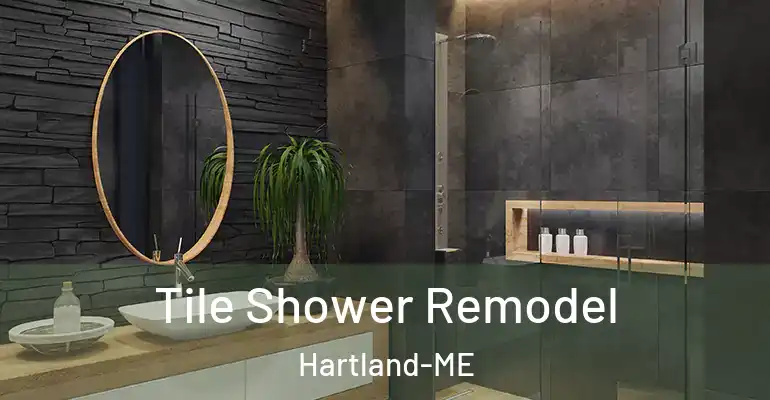 inner Bathroom imggen Tile Shower Remodel Hartland-ME