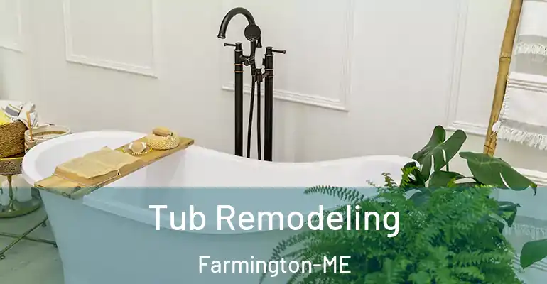 inner Bathroom imggen Tub Remodeling Farmington-ME