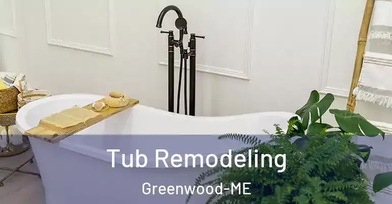 inner Bathroom imggen Tub Remodeling Greenwood-ME