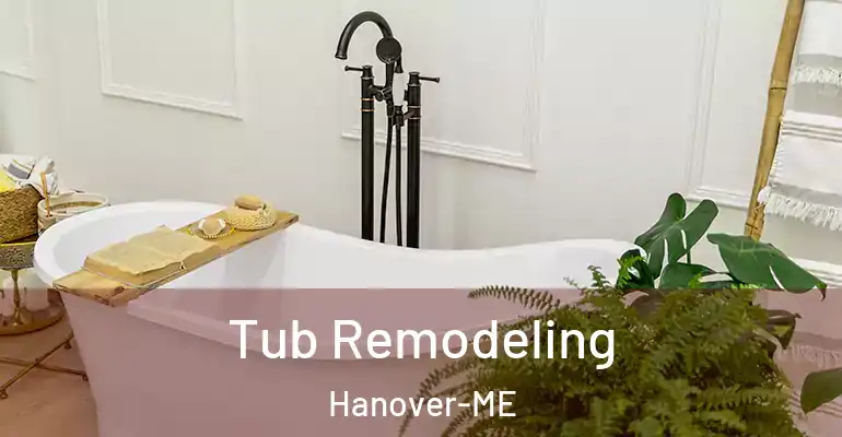 inner Bathroom imggen Tub Remodeling Hanover-ME