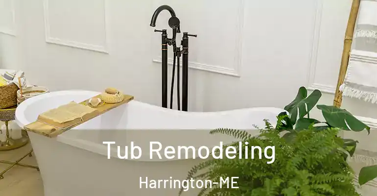 inner Bathroom imggen Tub Remodeling Harrington-ME