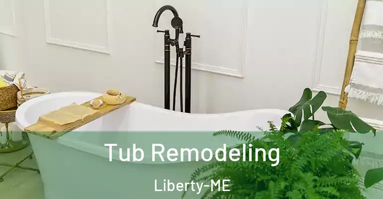 inner Bathroom imggen Tub Remodeling Liberty-ME