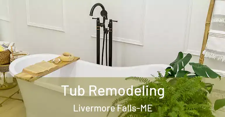 inner Bathroom imggen Tub Remodeling Livermore Falls-ME