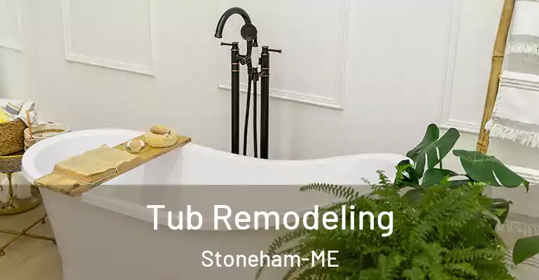 inner Bathroom imggen Tub Remodeling Stoneham-ME