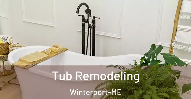 inner Bathroom imggen Tub Remodeling Winterport-ME