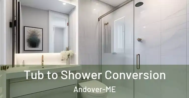 inner Bathroom imggen Tub to Shower Conversion Andover-ME