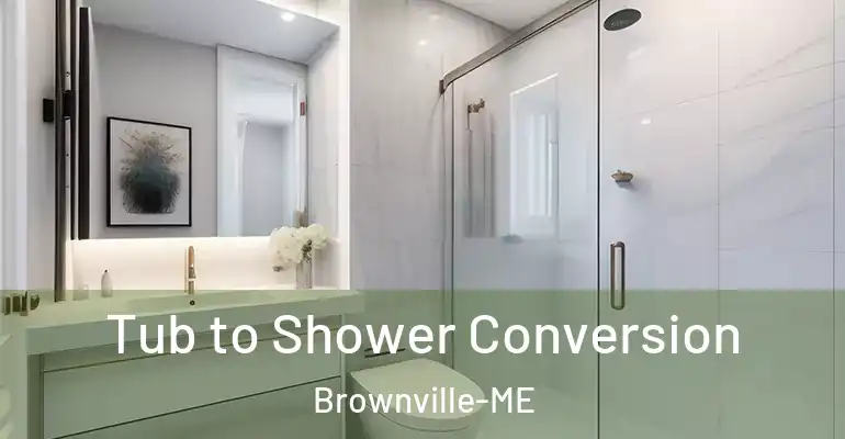 inner Bathroom imggen Tub to Shower Conversion Brownville-ME