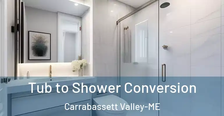 inner Bathroom imggen Tub to Shower Conversion Carrabassett Valley-ME