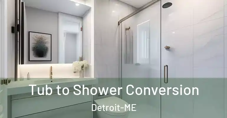 inner Bathroom imggen Tub to Shower Conversion Detroit-ME