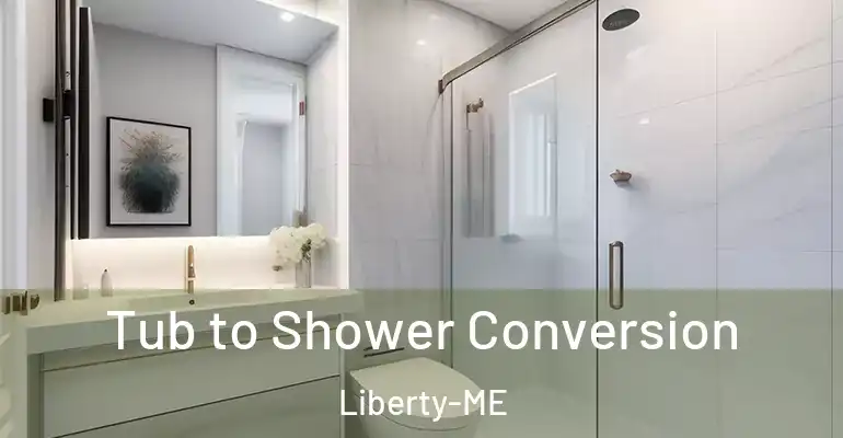 inner Bathroom imggen Tub to Shower Conversion Liberty-ME