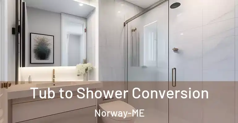 inner Bathroom imggen Tub to Shower Conversion Norway-ME