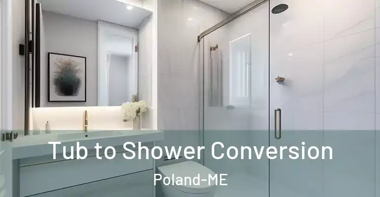 inner Bathroom imggen Tub to Shower Conversion Poland-ME