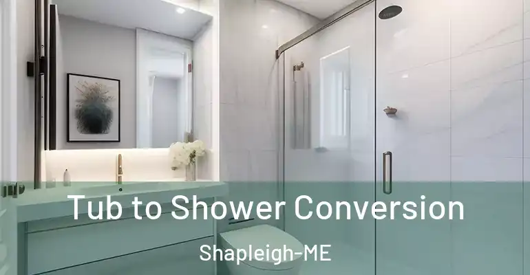 inner Bathroom imggen Tub to Shower Conversion Shapleigh-ME