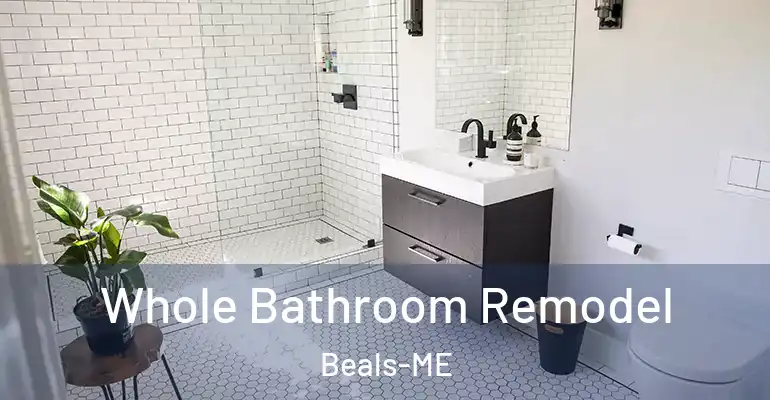 inner Bathroom imggen Whole Bathroom Remodel Beals-ME