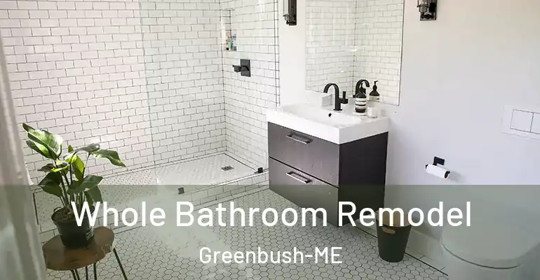 inner Bathroom imggen Whole Bathroom Remodel Greenbush-ME